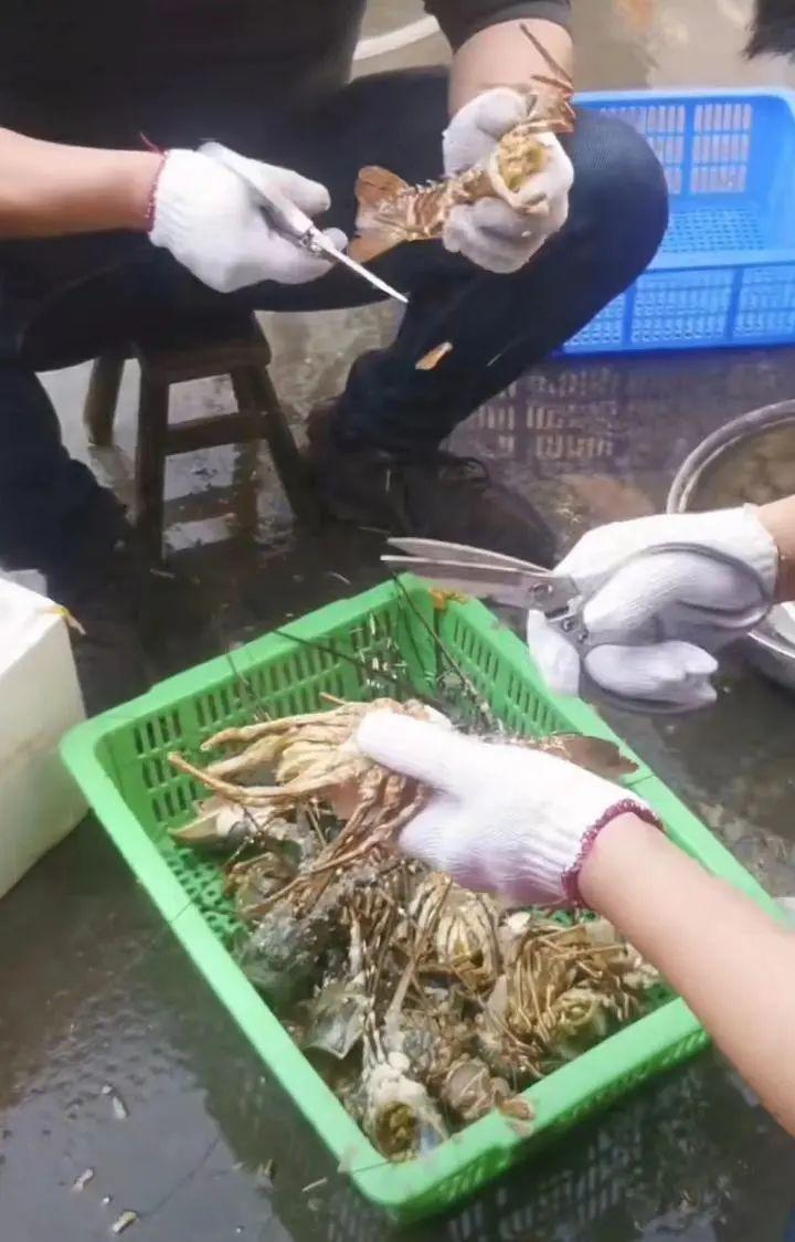 搞副业年入30万！杭州小伙：太火爆，单子接到下半年！这比上班还赚？（副业一年挣多几万开心）