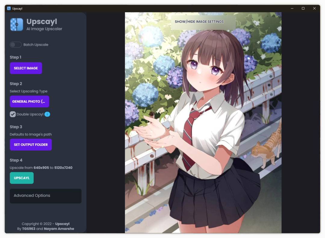 拯救渣画质！开源 AI 智能图片放大工具，内置多个模型，开箱即用！（bigjpgai-人工智能图片放大）