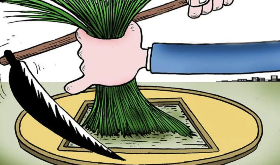 投资20多万，日营业额仅79元：穷人的每次创业都是在“渡劫”！（投资20万一个月能赚多少）