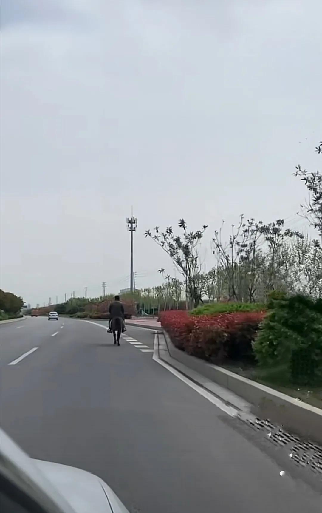 铺天盖地的自媒体创业大军，在平台上，能否实现各自理想的心愿？（自媒体创业靠什么收入）