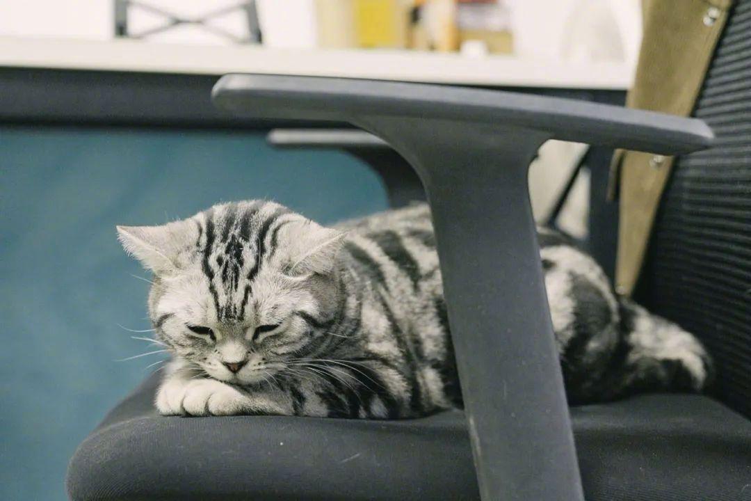 前京东副总裁，身患绝症后的最后一次创业：自费千万，要救50万人（京东副总裁近况）