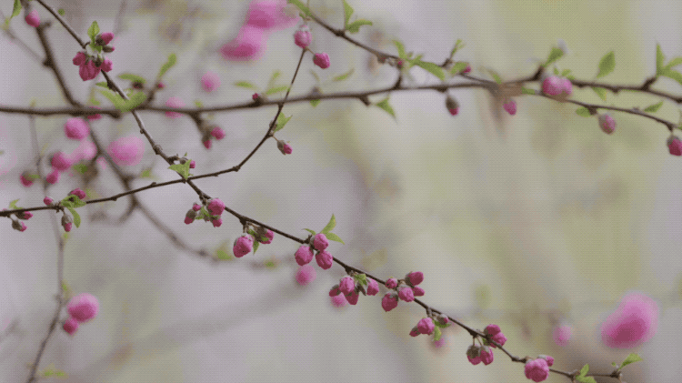 前京东副总裁，身患绝症后的最后一次创业：自费千万，要救50万人（京东副总裁近况）