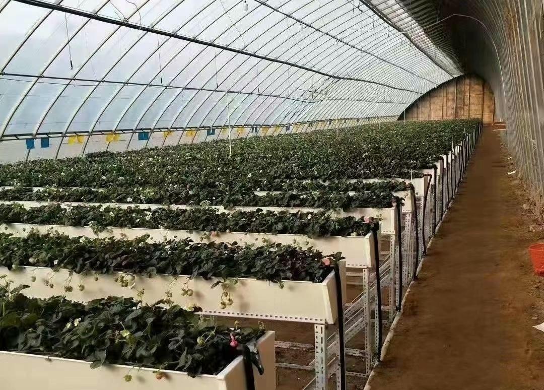 不想长期打工，可做这2个小生意，看似不起眼，但能闷声发大财！（不想打工有什么小生意可以做嘛）