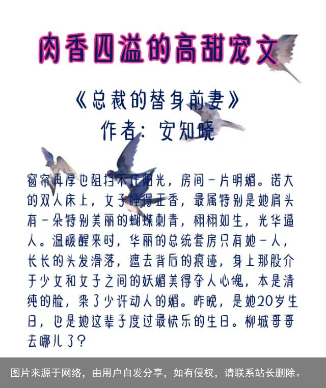 5本肉香四溢的高甜宠文：男主占有欲超强，让你忍不住躲在被窝看