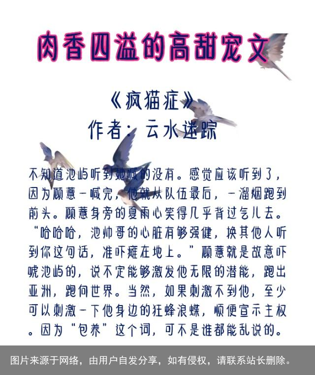 5本肉香四溢的高甜宠文：男主占有欲超强，让你忍不住躲在被窝看