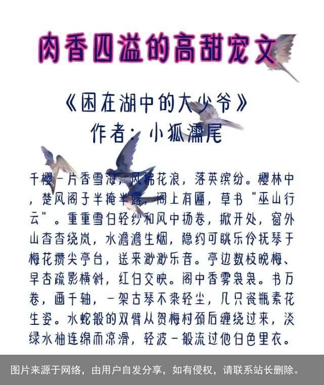 5本肉香四溢的高甜宠文：男主占有欲超强，让你忍不住躲在被窝看