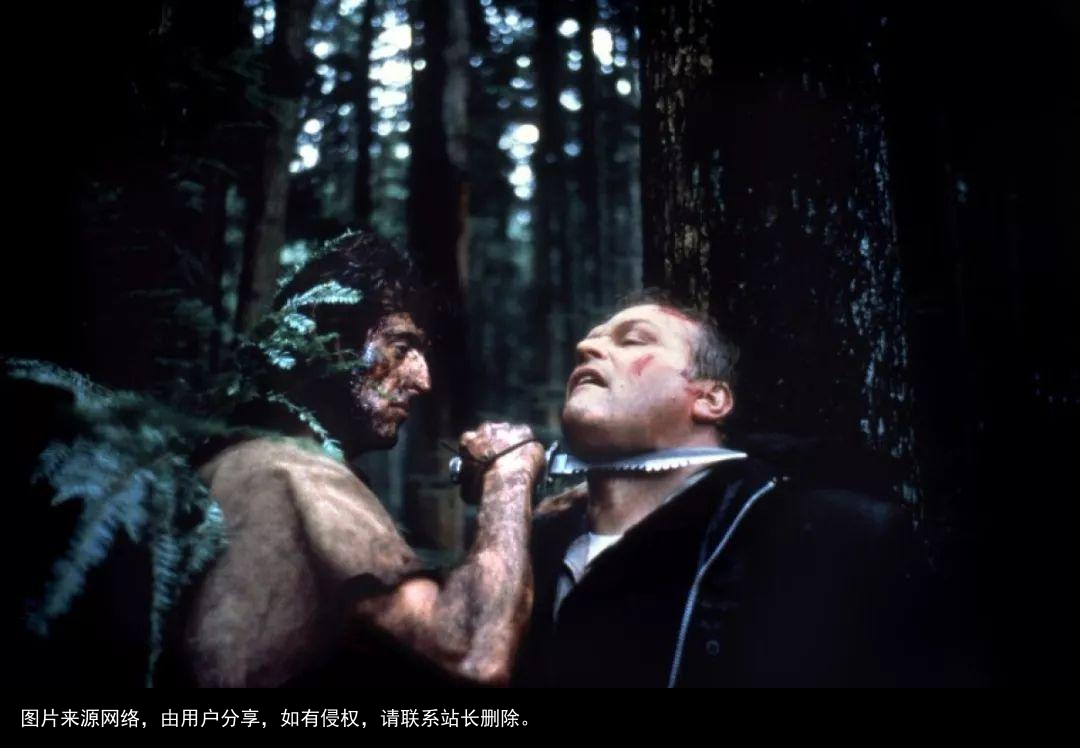 成本98万，上映票房1个亿，这5部硬汉片，每一部都是影史的奇迹