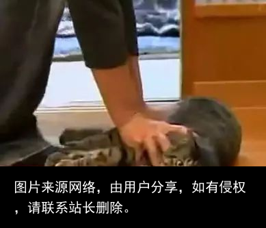 狐小贱丨女神竟然管我要那种网站......