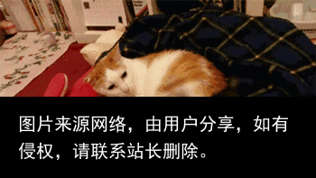 狐小贱丨女神竟然管我要那种网站......