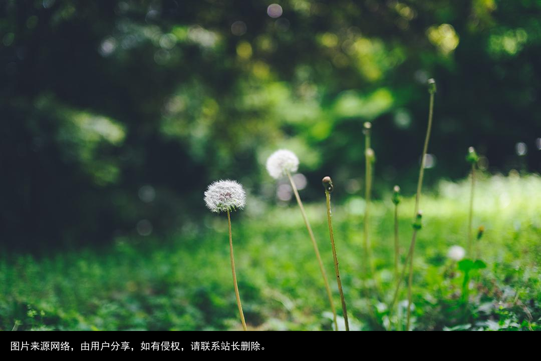 资源网站你们懂得！嘿嘿嘿