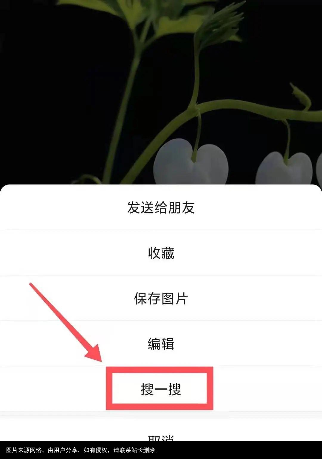微信里竟然能免费体验这么多AI功能