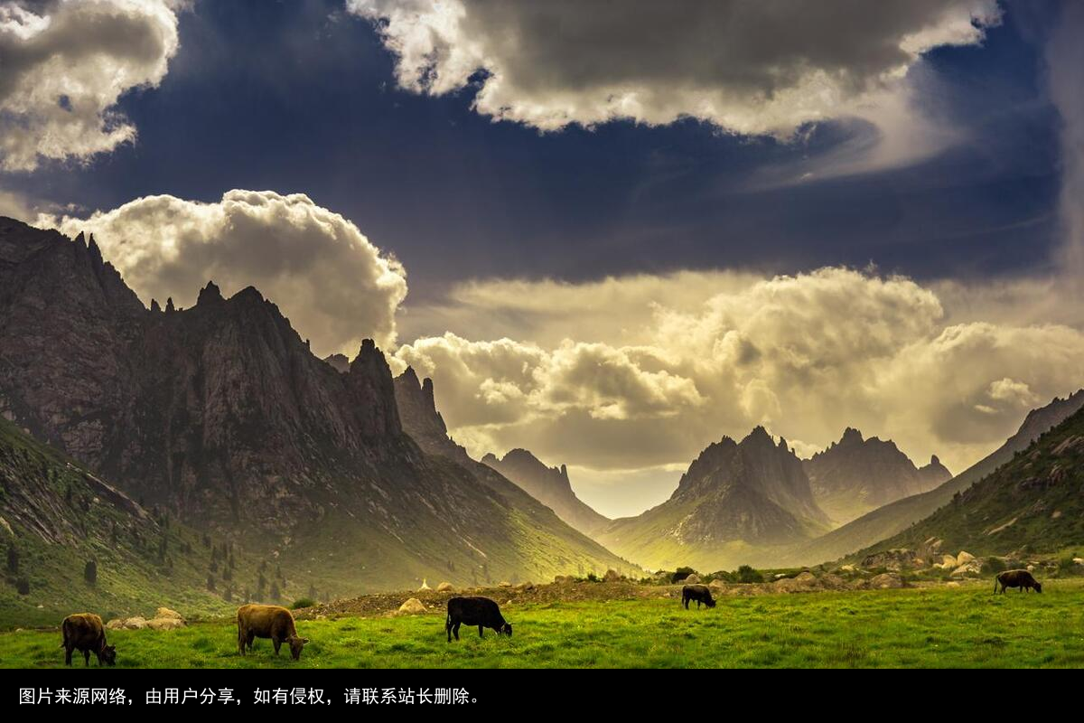 中国旅游市场现在放开了，老年人旅游专列在哪报名