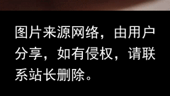 神秘女子引出倒卖野生动物产业黑链！四川警方成功解救63只小熊猫