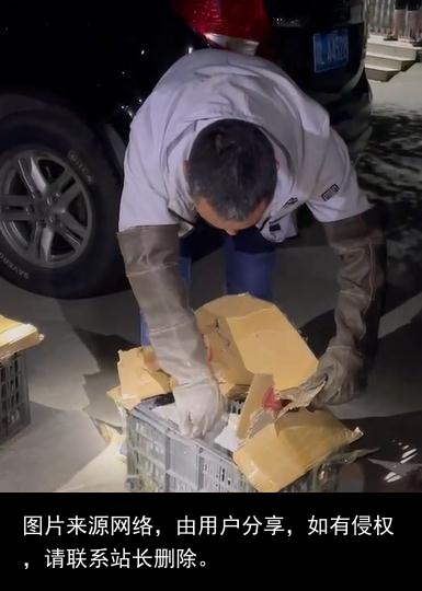 神秘女子引出倒卖野生动物产业黑链！四川警方成功解救63只小熊猫