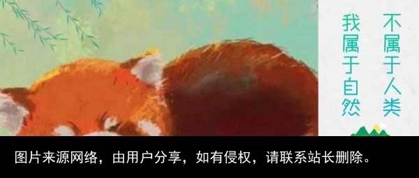 神秘女子引出倒卖野生动物产业黑链！四川警方成功解救63只小熊猫