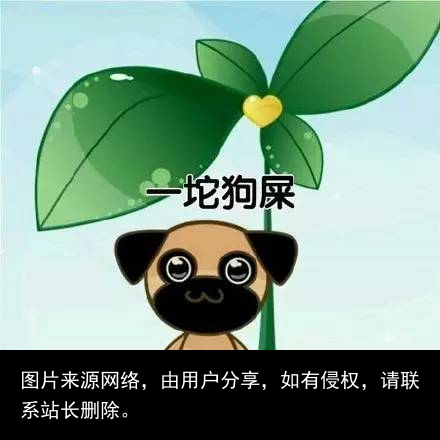 走狗屎运大家都听过，但谁知道“狗屎糕”吗？