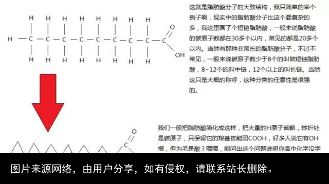 脂肪是个什么东西？