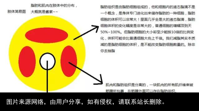 脂肪是个什么东西？