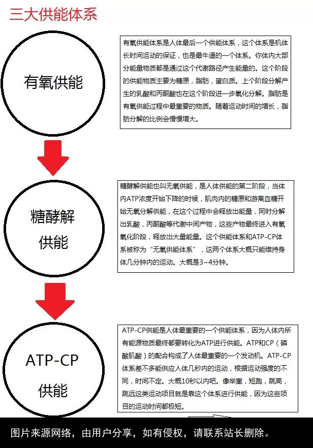 脂肪是个什么东西？