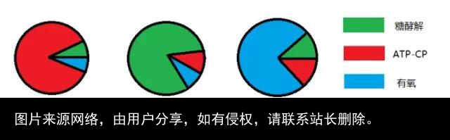 脂肪是个什么东西？