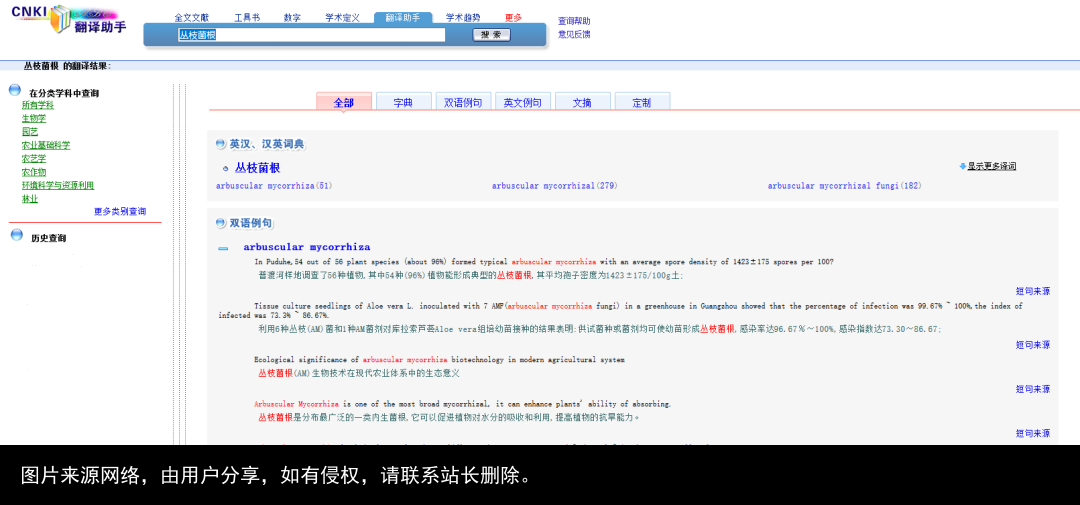 八大翻译软件大揭秘，告诉你科研翻译的正确打开方式