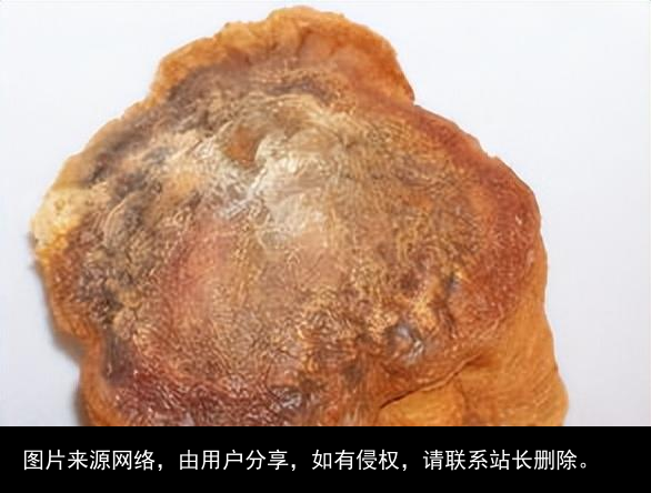 科普：太岁究竟是什么“东西”？科学家借助精密仪器揭示太岁之谜