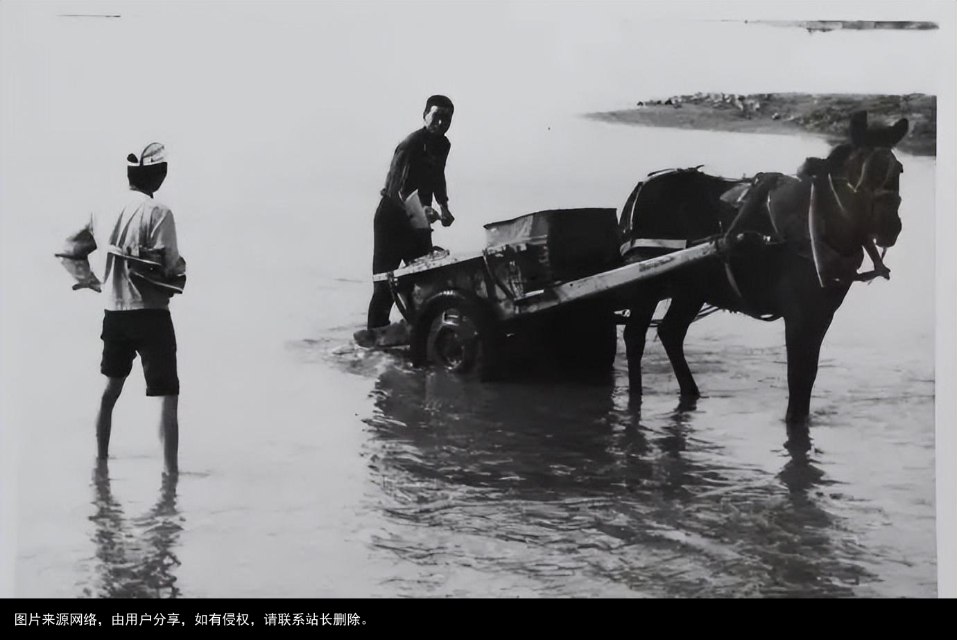 科普：太岁究竟是什么“东西”？科学家借助精密仪器揭示太岁之谜