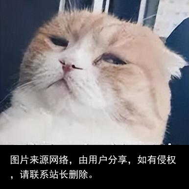 超实用网站来了！这些官方出品的良心网站，让你从此不求人