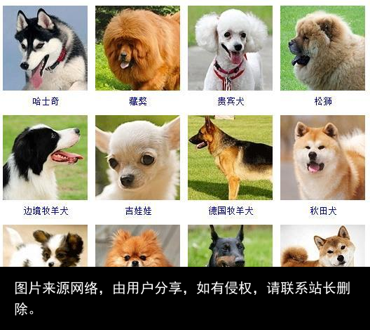 178个宠物狗品种图片大全，宠物狗品种大全