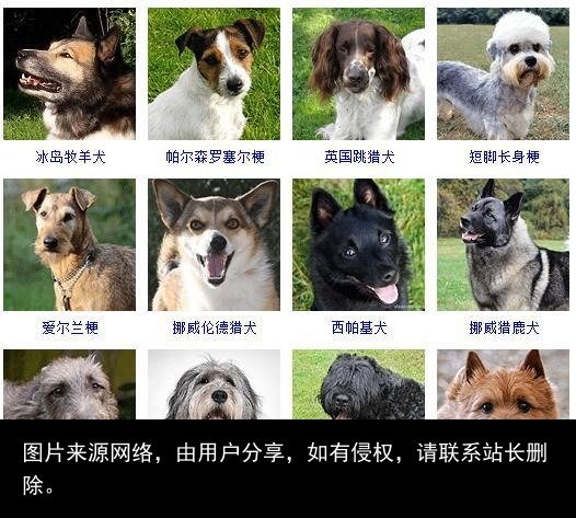178个宠物狗品种图片大全，宠物狗品种大全