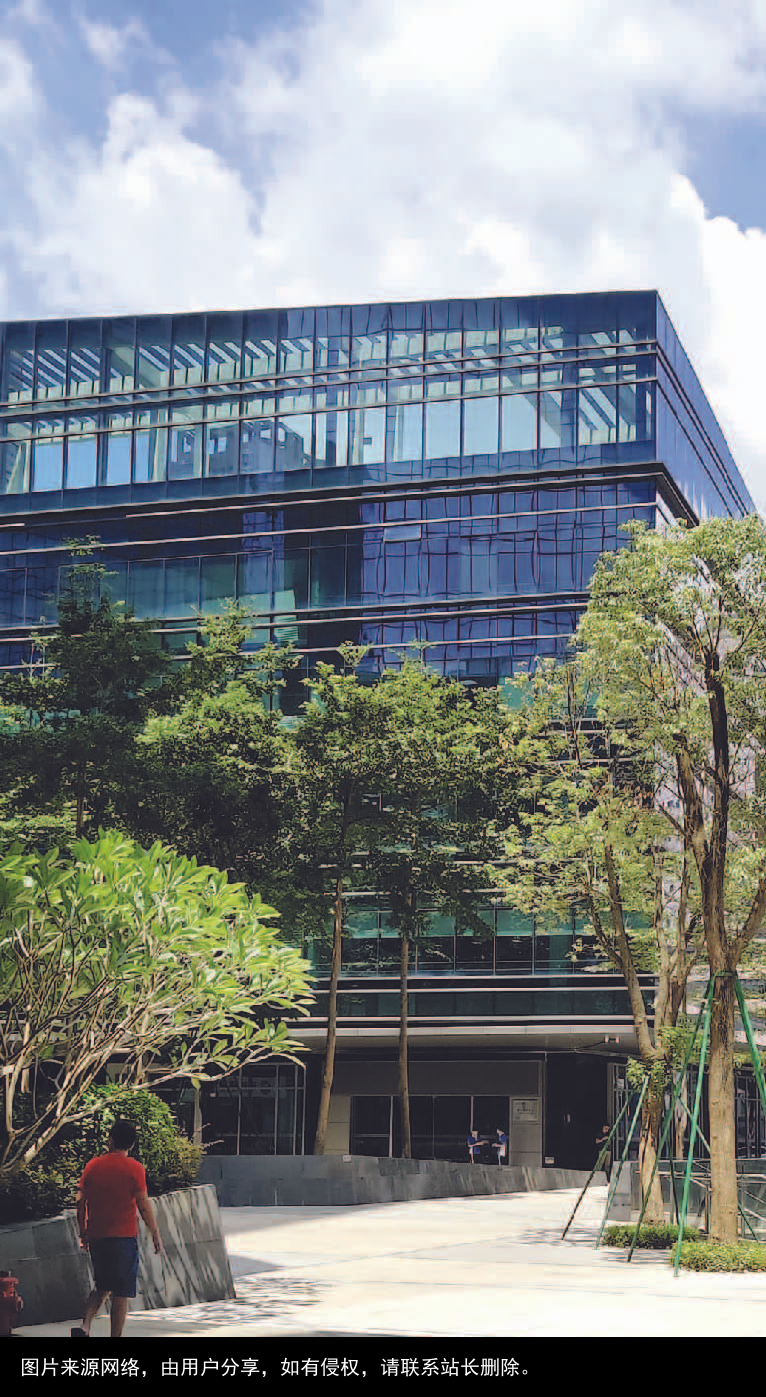 “洋打工”与“打黑工”之间，也许只差几步