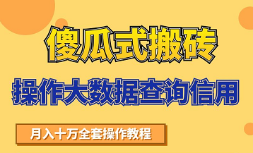 图片[1]-搬砖操作大数据查询信用项目赚钱教程，祝你快速月入6万