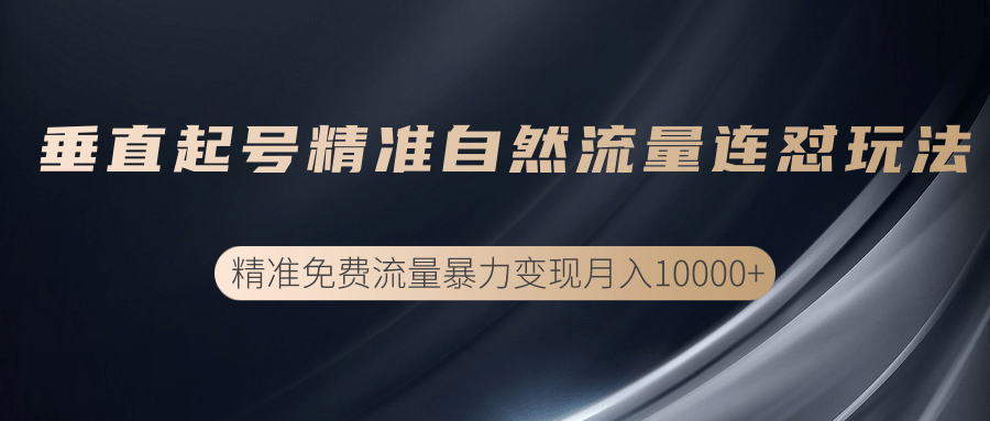 图片[1]-垂直起号精准自然流量连爆玩法，精准引流暴力变现月入10000+