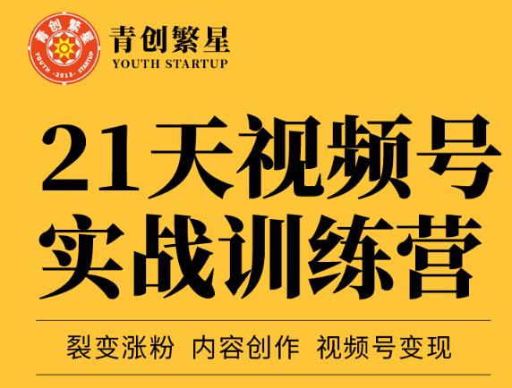 张萌21天视频号实战训练营，裂变涨粉、内容创作、视频号变现 价值298元