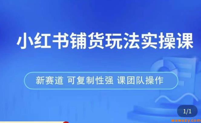 小红书铺货玩法实操课，流量大，竞争小，非常好做，新赛道，可复制性强，可团队操作