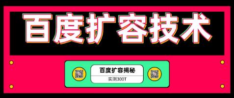 图片[1]-百度扩容最新技术，实测扩容300T，上手即可接单（价值699全套资料）