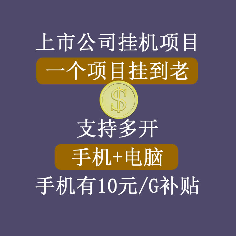 图片[1]-正规挂机项目，支持手机电脑一起挂，支持虚拟机多开，可以挂到老