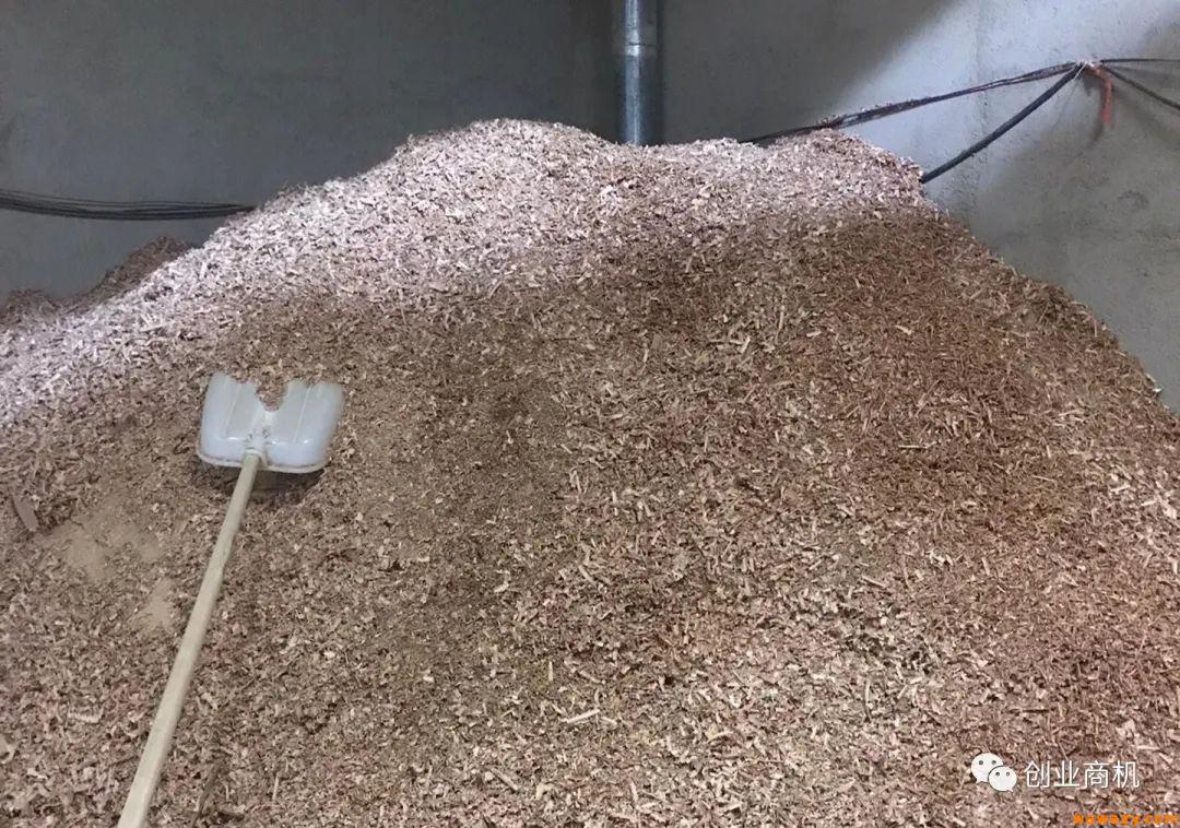 普通人回农村创业，这2个小生意发展前景好，原料充足、销路不愁。