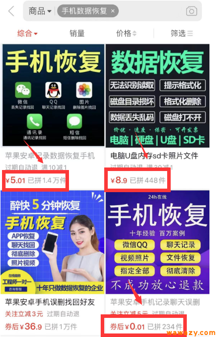 聊天数据恢复虚拟服务项目，可长期操作，日赚500+！