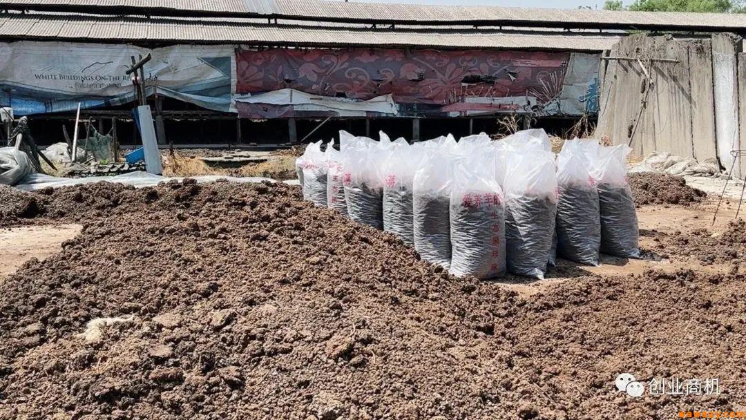 随处可见的2个加工生意，销路畅销投资小，夫妻俩也能日入1000多。