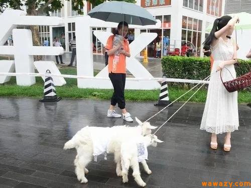 每天收入500稳定的赚钱方法 普通人做什么可以日赚500-1000元？