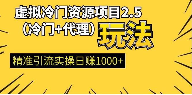 图片[1]-虚拟冷门资源项目（冷门及代理玩法） 精准引流实操日赚1000+(完结)