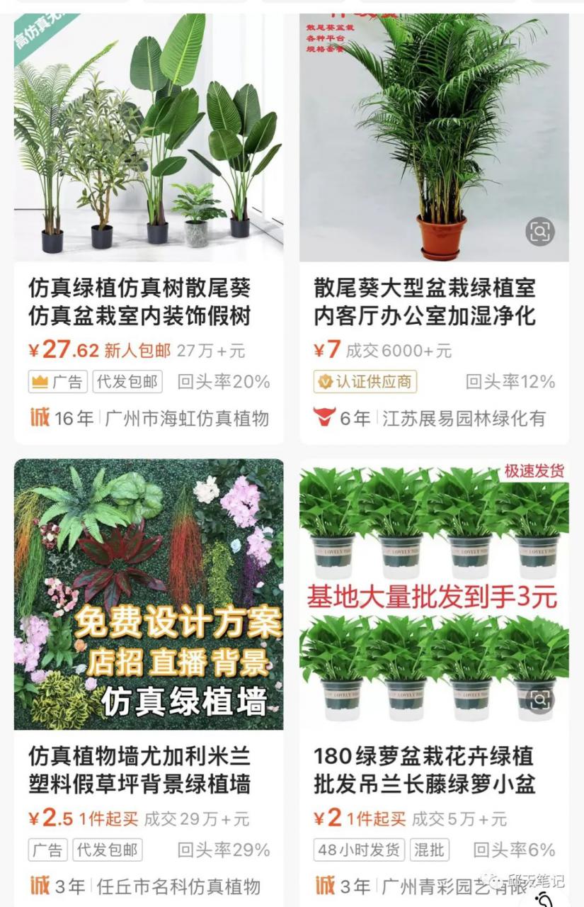 致富第一步，摆摊卖花卉绿植盆栽生意火