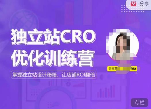 独立站CRO优化训练营，掌握独立站设计秘籍，帮你打造高转化的独立站，让你的店铺ROI翻倍