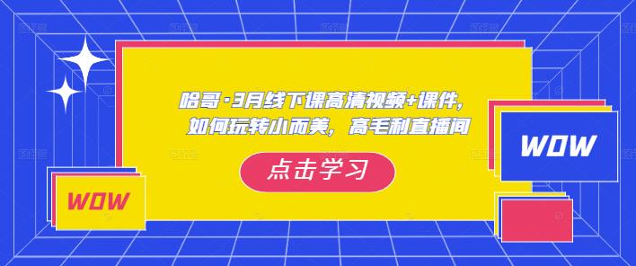 哈哥·3月线下课高清视频+课件，教你如何玩转小而美，高毛利的直播间
