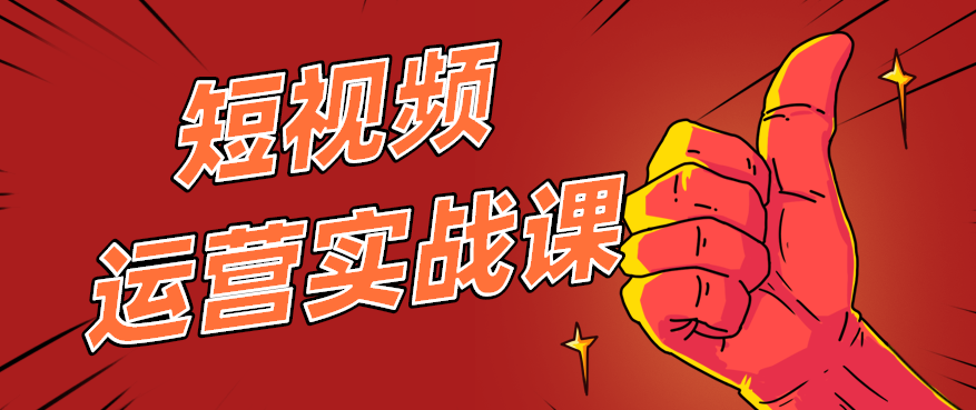 短视频运营实战课：学会这几点，零基础也能做好小说项目【视频教程】