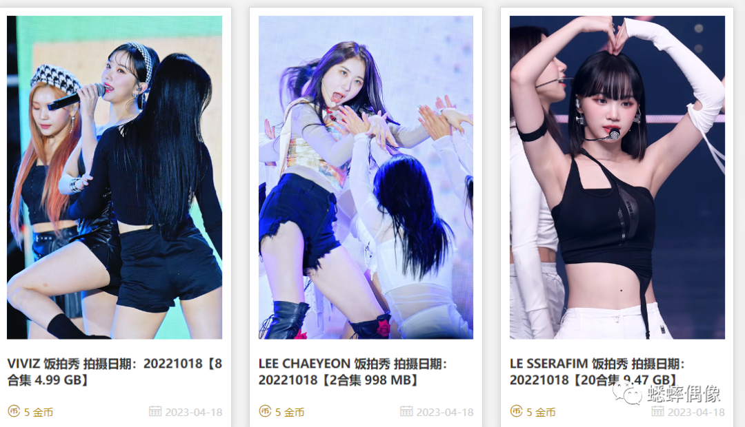 虚拟资源付费项目：饭拍视频资源站