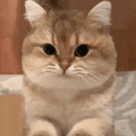 嫌弃证件照太丑？有人却靠你丑照，月入5万