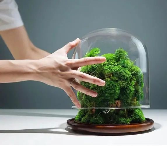 你也可以做的项目，月入5W，这不比打工香吗~