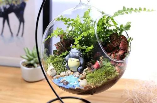 你也可以做的项目，月入5W，这不比打工香吗~